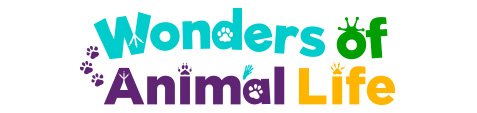 Wonders of Animal Life